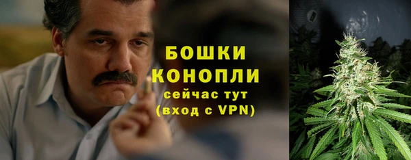 амф Арсеньев