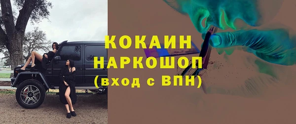 дживик Снежногорск