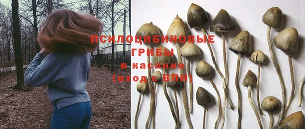 мет Слюдянка
